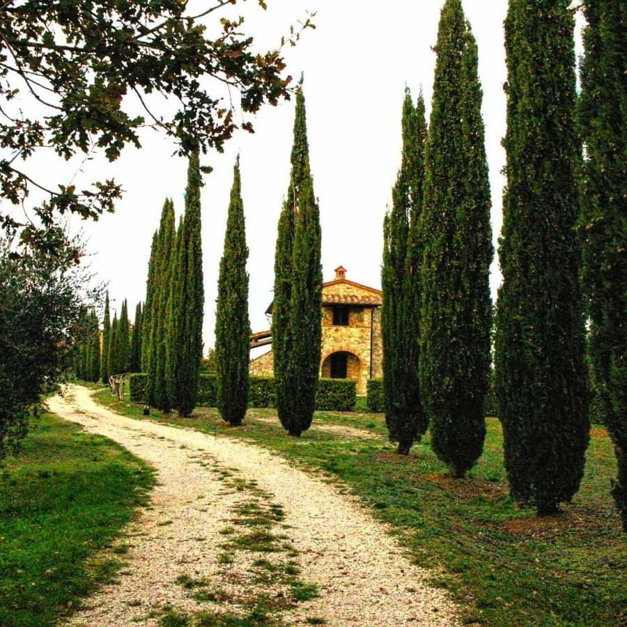 La Coccinella San Venanzo Exterior foto