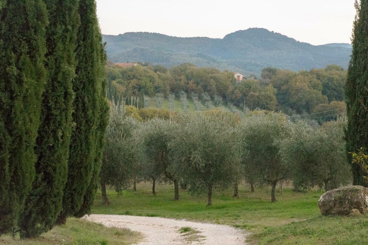 La Coccinella San Venanzo Exterior foto