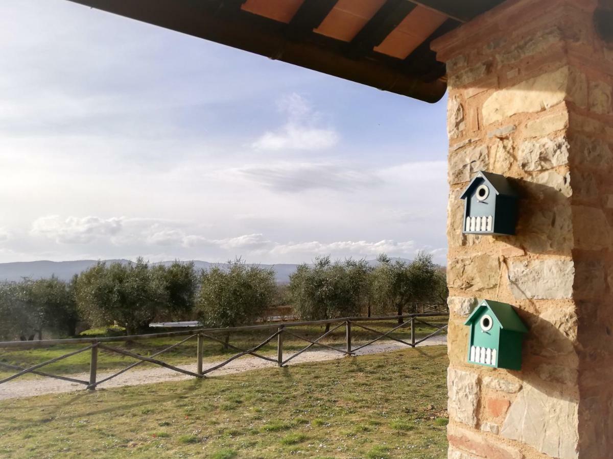 La Coccinella San Venanzo Exterior foto